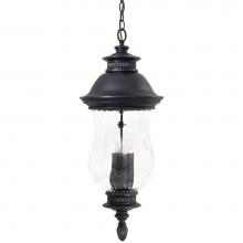 The Great Outdoors 8904-94 - 4 Light Chain Hung