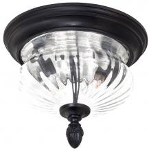 The Great Outdoors 9909-94 - 2 Light Flush Mount
