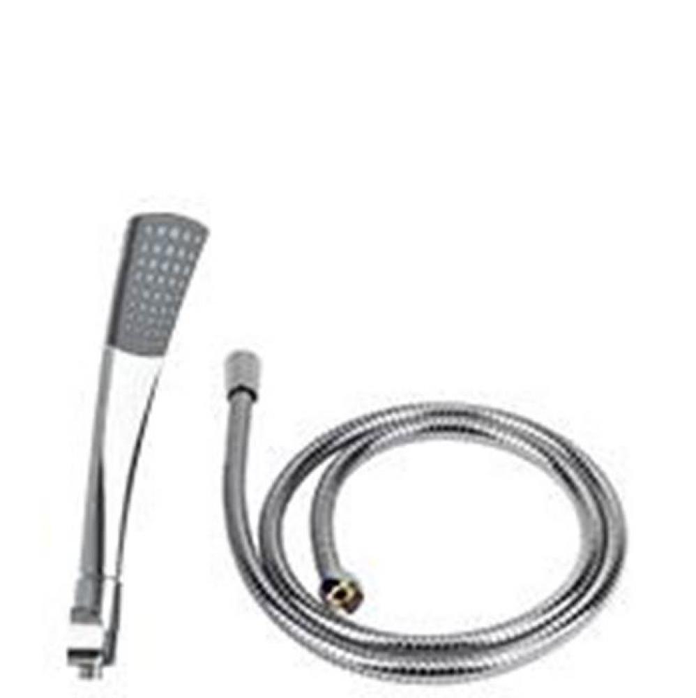 Leyden Handshower and Hose BZ