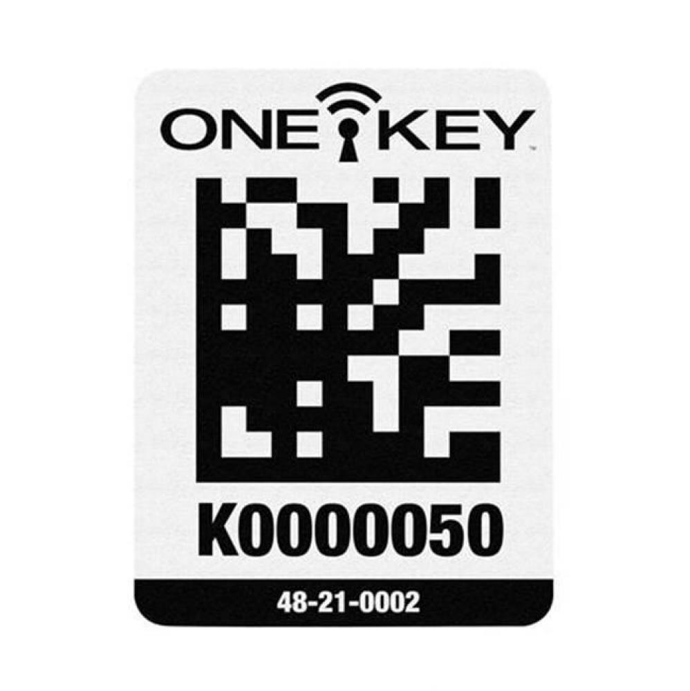 One-Key Asset Id Tag-Lg Plstc100 Ct