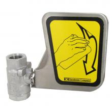 Speakman RPG20-1885 - Speakman Repair Part Stainless Steel Valve Repair Group for SE-600 Series