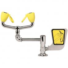 Speakman SE-572 - Speakman Counter Mounted Laboratory Eyewash