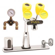 Speakman SEF-1826-TW - Speakman Eyesaver AC Op. Sensor Eyewash Faucet with Thermostatic Mixing Valve & Manual Overrid