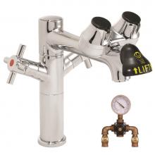 Speakman SEF-1850-8-TW - Speakman Eyesaver Single Post Laboratory Eyewash Faucet with 8 In. Spout