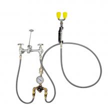 Speakman SEF-9000-TW - Speakman Eyesaver Service Sink Eyewash Faucet with Eyewash Thermostatic Mixing Valve