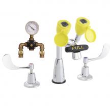 Speakman SEF-1800-CA-TW - Speakman Eyesaver Classic Eyewash Faucet with Eyewash TMV