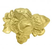Carpe Diem Hardware 2070-12 - Triple Acorn & Oak Leaf Large Knob