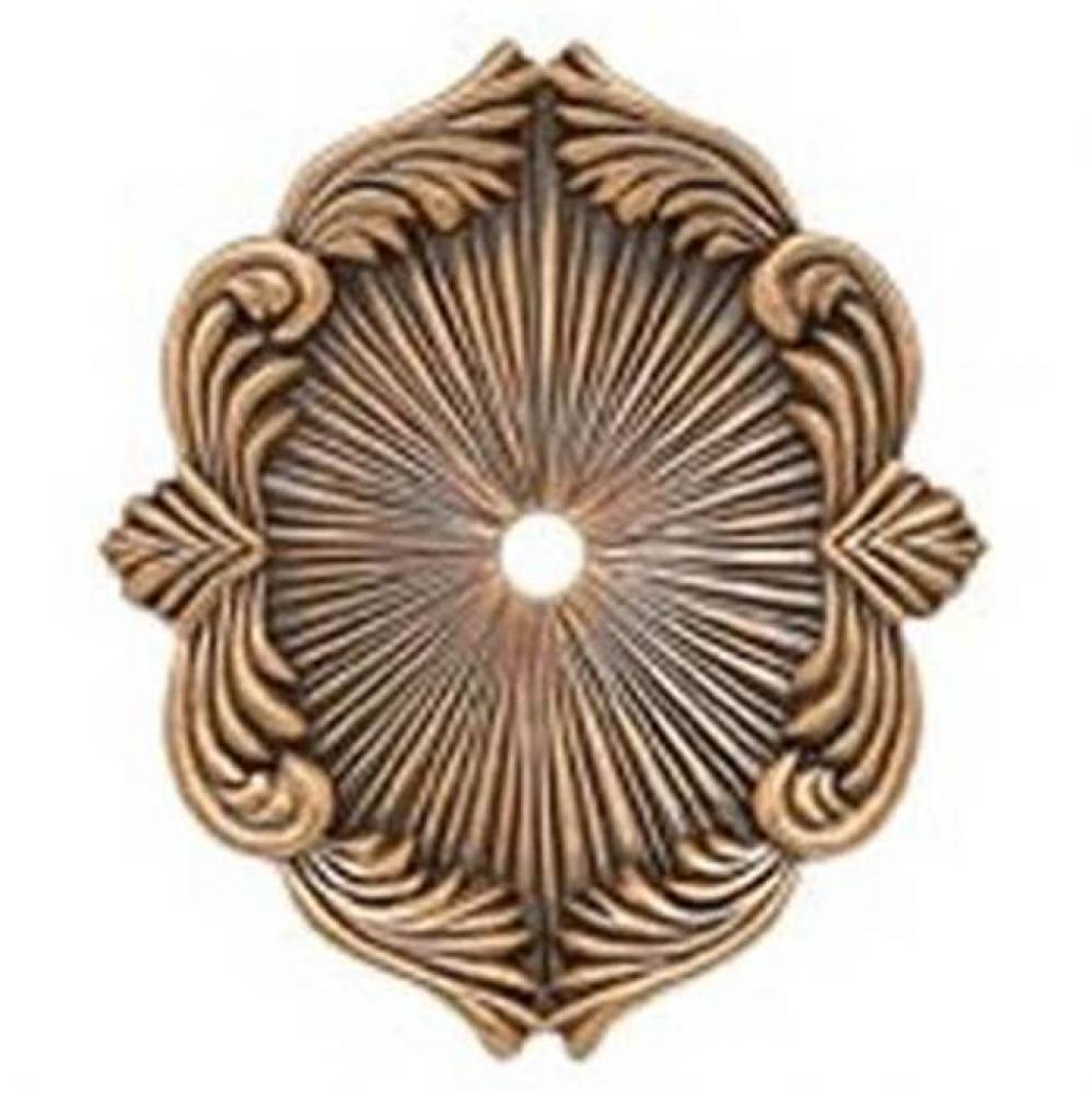 BACK PLATE