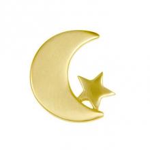 Lisa Jarvis SC19B - Starry Moon pull