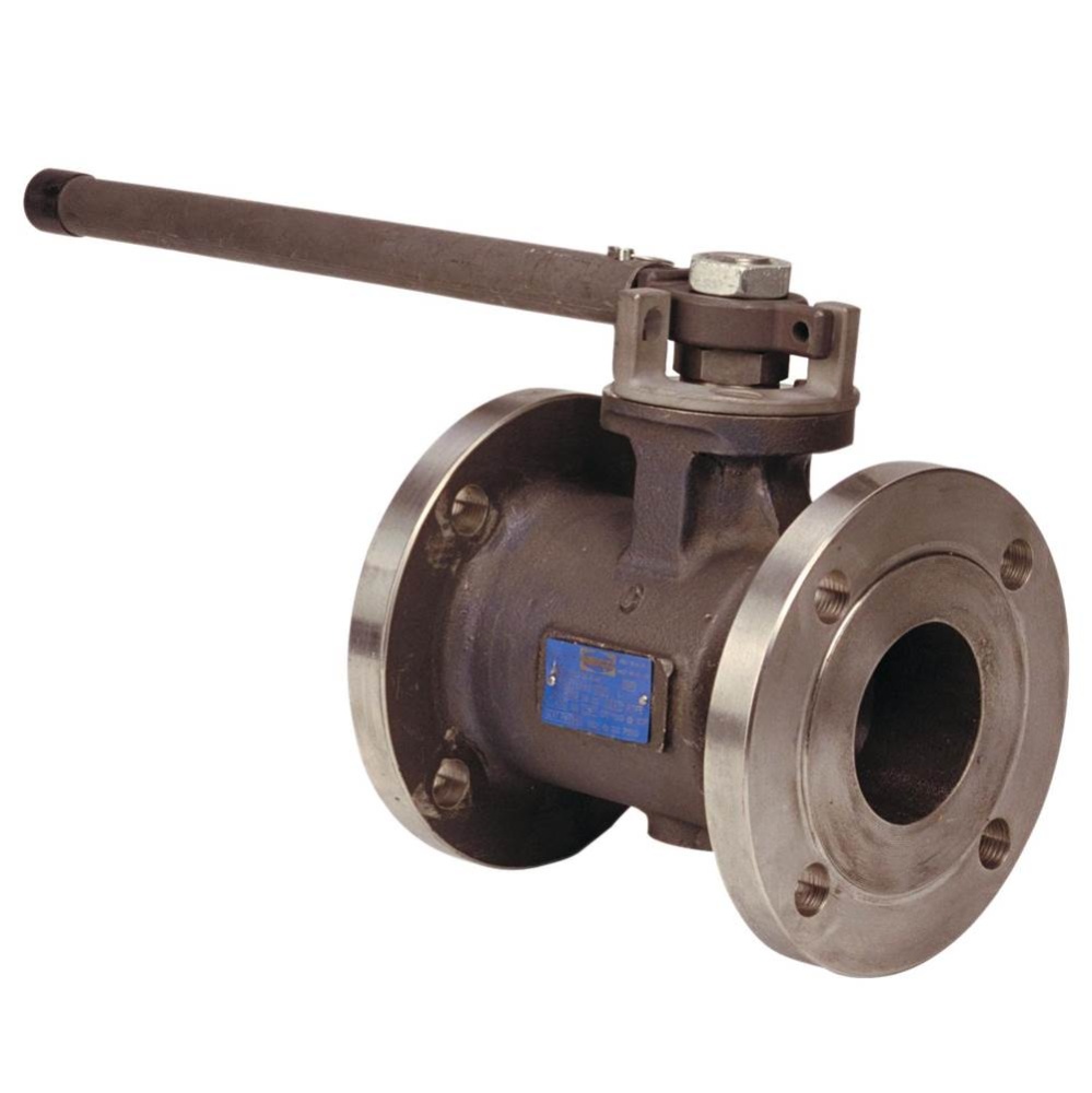 F510S6R66Fs 1/2 Reg Port Lev Hndl F/S Ss