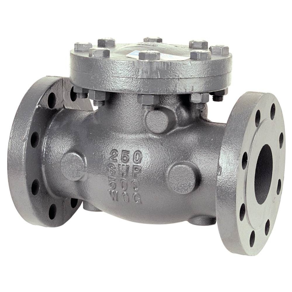 F968B 21/2 Flg Check Cast Iron