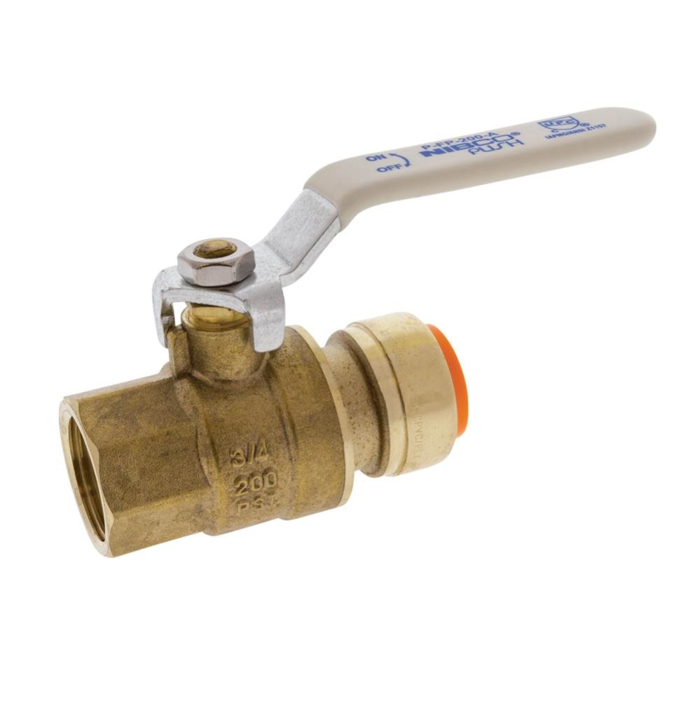 TP-FP-200-LF 1/2 PUSHxFPT BALL VALVE
