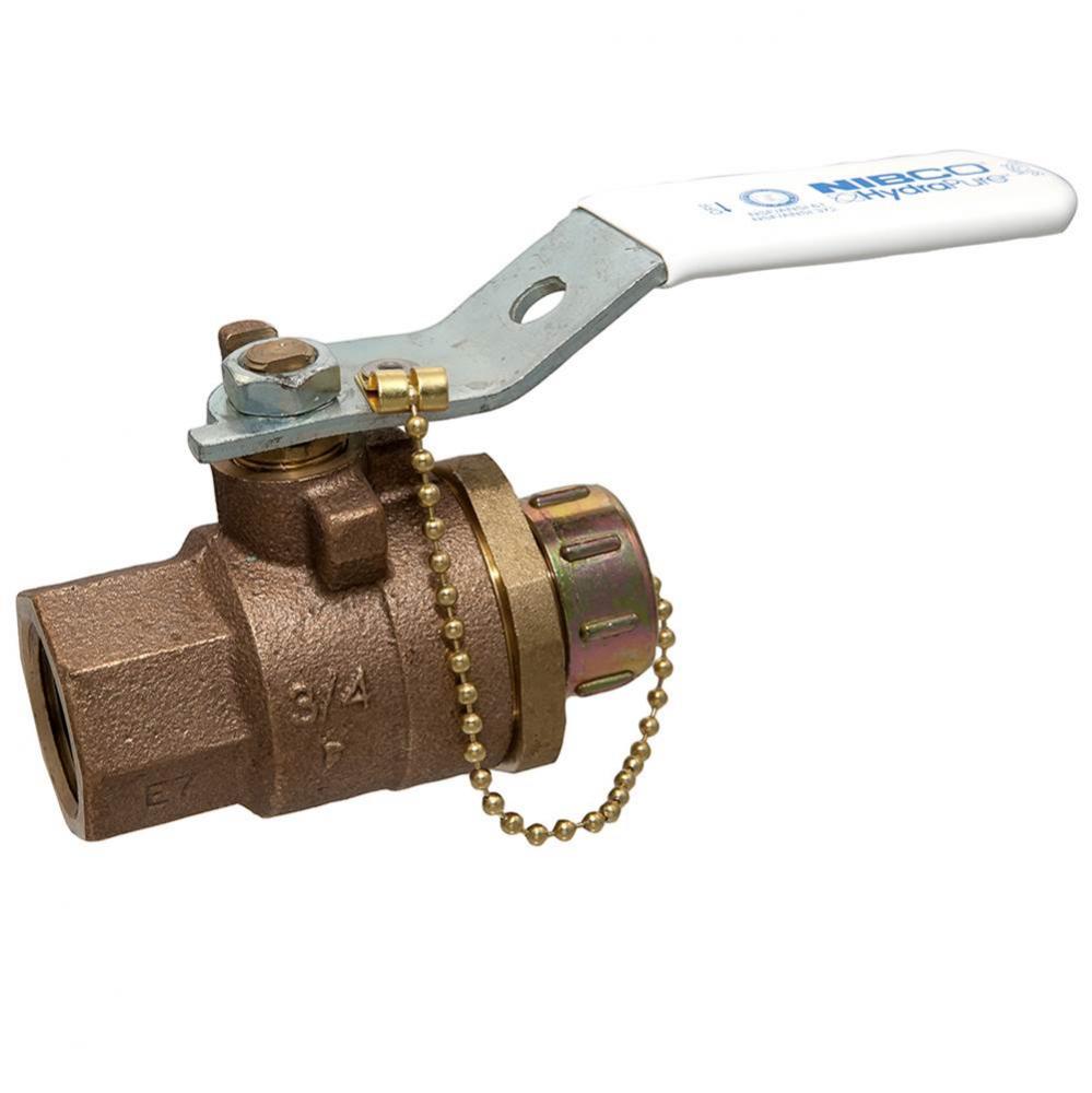 T585-66-Lf-Hc 3/4 W/ 3/4 Hose Cap Ss Trm