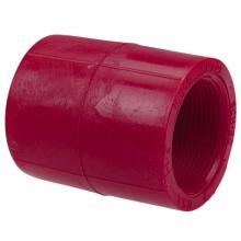 Nibco CD00550 - 6503    3/4   FE ADAPT PVDF