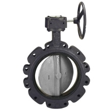 Nibco NLG830X - Ld20225 24 200Psi/Epdm/316 Ss With Go