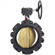 Nibco NLG761J - LD20103 5 200PSI/EPDM/DIDISC/LHNDL