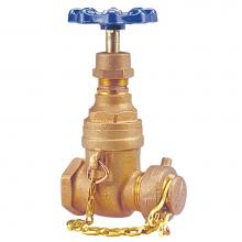 Nibco NL0F808 - T113HC 3/4    HOSE END W/CAP