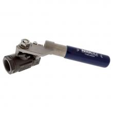 Nibco NL94Z5B - TC580CSR66SR 11/4THD RP BV 2PT MTG SR SS