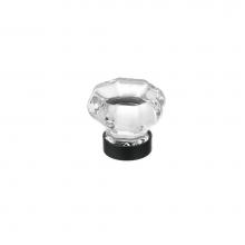Richelieu America BP1007490011 - Eclectic Crystal and Metal Knob - 1007