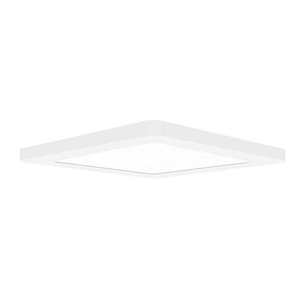 Dual Voltage LED Flush Mount