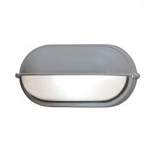 Access Lighting 20291-SAT/FST - 1 Light Outdoor Bulkhead