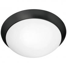 Access Lighting 20624-MBL/OPL - Flush Mount
