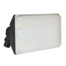 AFX Lighting TPDW1300L50BK - 13.5W LED FLOOD;CAST
