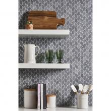 AKDO MB2426-IVY000 - Ivy Ombra (H&P)