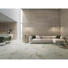 AKDO PO2314-2424M0 - Renaissance 24'' x 24'' Calacatta Gold (M)