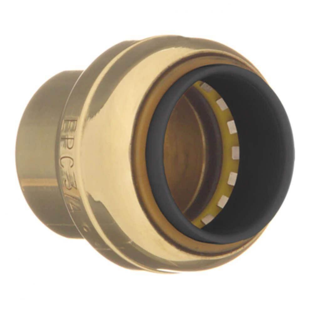 217 1/2 Tube Cap