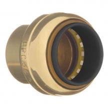 Apollo Valves 10155500 - 217 1/2 Tube Cap
