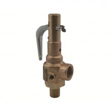 Apollo Valves 19SGGA50 - Vlv,Rel,1-1/2G1-1/2,19S,50Psi