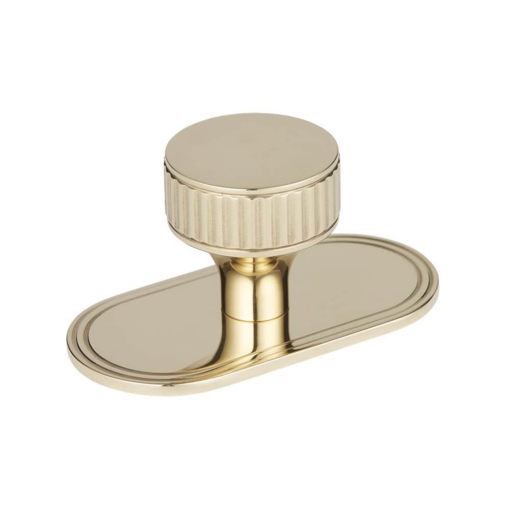 45mm Barwick Knob With Backplate Sbul