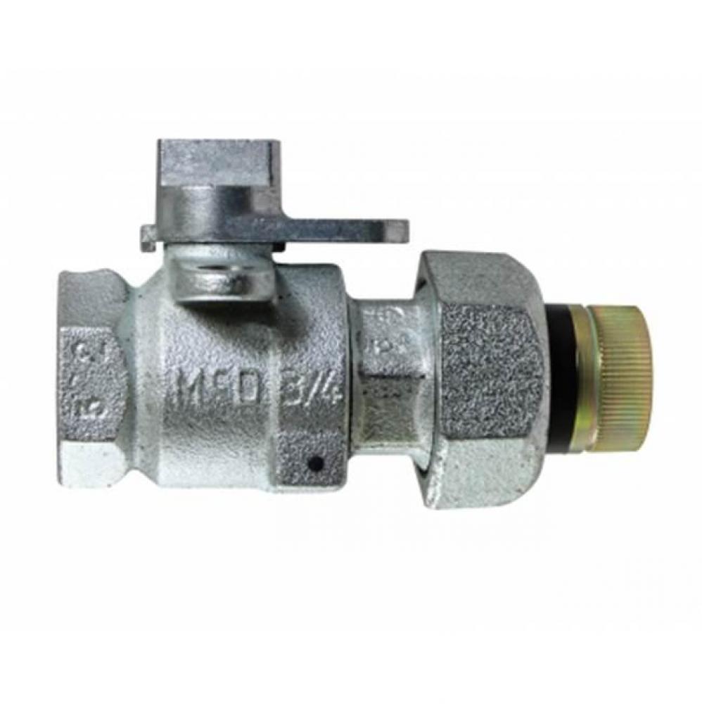 8276G 2 ZINC GAS BV FNPTxINS FNPT 175 lb