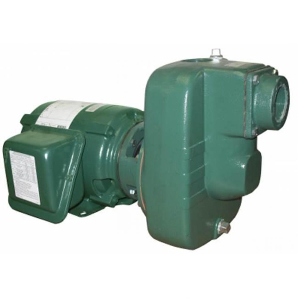 84300 Sp Centri Pump 3Hp Ci 1Ph