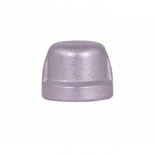 AY McDonald 4428-069 - 2201SS 2 1/2 CAP SS 304