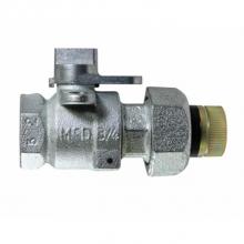 AY McDonald 4816-180 - 8276G 2 ZINC GAS BV FNPTxINS FNPT 175 lb