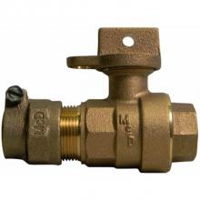 AY McDonald 5132-027 - 76102W-33 3/4X3/4X1 BALL CURB PEP X FNPT - NL