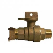 AY McDonald 5132-335 - 76107W-55 2 BALL CURB IP X MNPT - NL