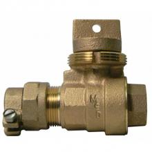 AY McDonald 5133-169 - 76106-22 1 MINN BALL CURB CTS X FNPT - NL