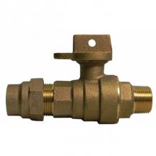 AY McDonald 5192-382 - 76107WG 2 BALL CURB CTS X MNPT - NL