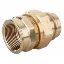 AY McDonald 5419-130 - 71920F 1 1/4 UNION PRESS X FNPT-NL