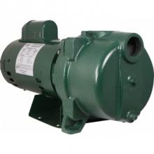 AY McDonald 6156-134 - 89100 Sprinkler Pump 1Hp
