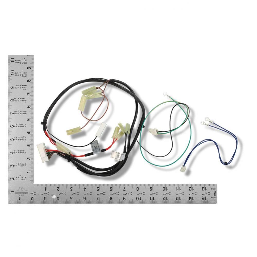 HARNESS MGV/SLND,LEAK,FLAMEROD