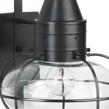 Norwell 1613-BL-CL - One Light Black Hanging Lantern