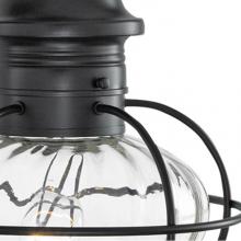Norwell 1613-BL-PR - One Light Black Hanging Lantern