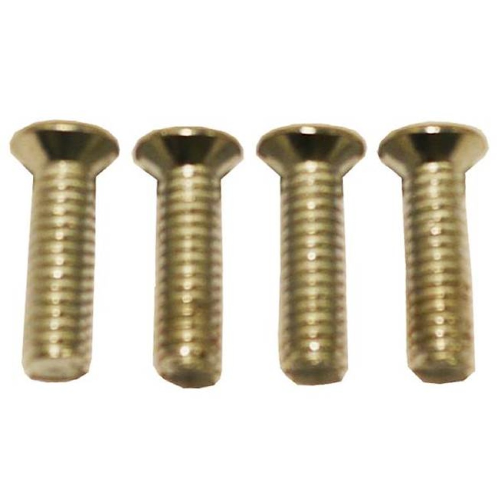 THRU BOLTS MALE (SET OF 4) GB