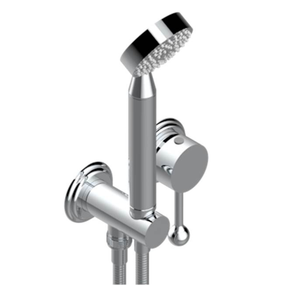 Trim Only For Wall Mixer With Complete Handshower On Hook