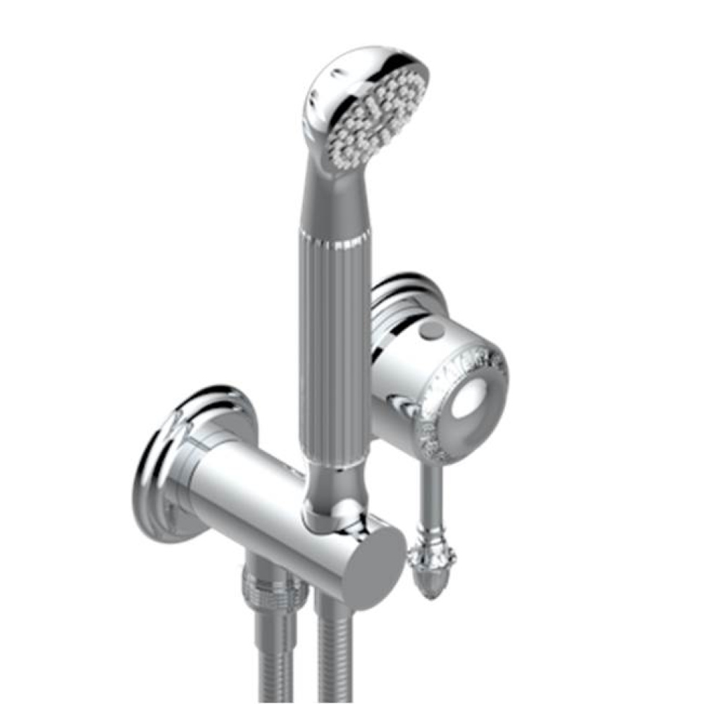 Trim Only For Wall Mixer With Complete Handshower On Hook