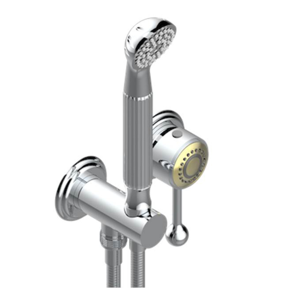 Trim Only For Wall Mixer With Complete Handshower On Hook